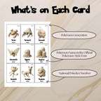 Example of national pokedex placeholder cards showing Pokémon generation label Pokémon name in Pokémon style font and national pokedex number.