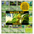 Treecko binder pages set showing grayscale and color Pokémon cards, designed as a digital download to complete a collector’s binder.