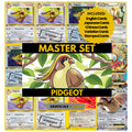 Pidgeot binder pages set showing Pokémon cards, designed as a digital download to complete a collector’s binder.