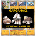 Garganacl Evolutions binder pages set showing grayscale and color Pokémon cards, designed as a digital download to complete a collector’s binder.